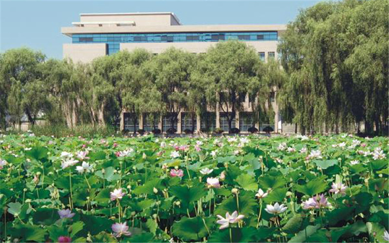 2022年上海海事职业技术学院自主招生考什么（考试大纲）