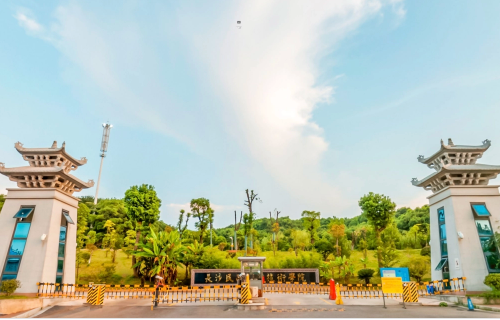 长沙民政职业技术学院单招条件有哪些？