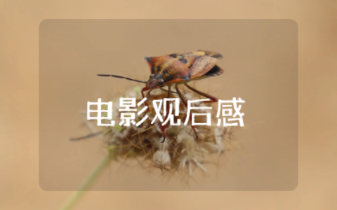 电影《肖申克的救赎》观后感1500字大学生 《肖申克的救赎》1500字影视鉴赏