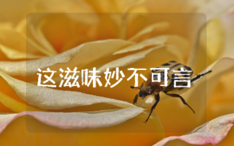 《这滋味妙不可言》初中800字作文大全 《这滋味妙不可言》作文通用范文