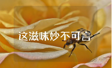 《这滋味妙不可言》初中800字作文大全 《这滋味妙不可言》作文通用范文