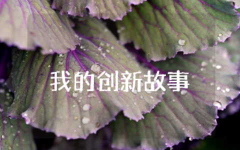 《我的创新故事》600字作文模板大全 《我的创新故事》优秀作文精选15篇
