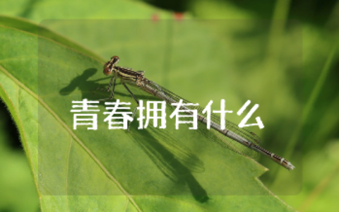 《庆幸我的青春拥有什么》作文范文集锦 “我的青春里有什么”精选作文大全