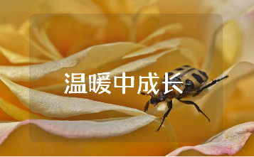 《温暖中成长》800字作文精选合集 “在温暖中成长”作文通用模板