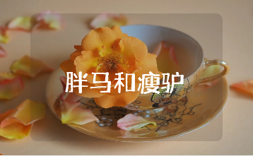 《胖马和瘦驴》300字作文范文大全 《胖马和瘦驴》作文通用模板