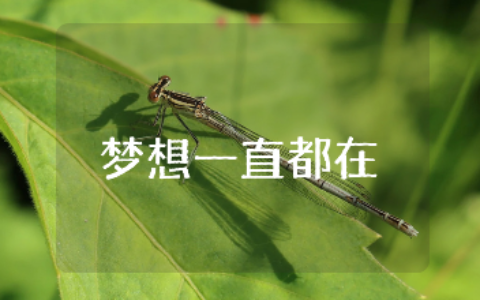 《梦想一直都在》600字作文集锦 关于“梦想一直都在”的优秀作文大全