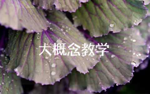 《大概念教学:素养导向的单元整体设计》读后感心得体会大全