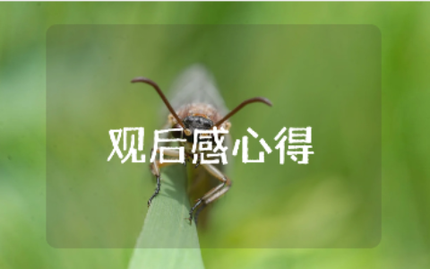 《敢教日月换新天》观后感精选范文 《敢教日月换新天》的观看心得体会模板