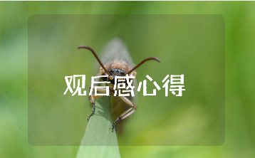 《敢教日月换新天》观后感精选范文 《敢教日月换新天》的观看心得体会模板