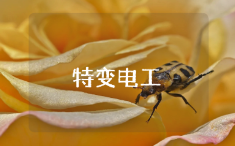 《特变电工我的大学》2000字读后感范文 《特变电工我的大学》阅读心得感悟汇总