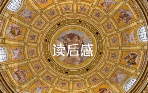 小布头奇遇记新年的礼物读后感 小布头奇遇记新年礼物读书笔记