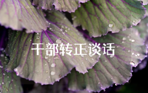 干部转正考核谈话记录合集 干部转正谈心谈话材料汇总