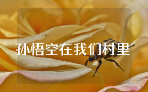 孙悟空在我们村里的读后感50字精选  孙悟空在我们村里的读后感范本