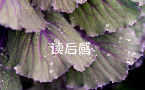 橡树和芦苇的读后感 橡树和芦苇明白了一个什么道理