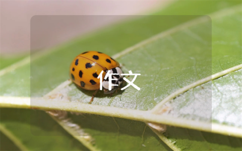 尽力而为就好作文素材摘抄大全