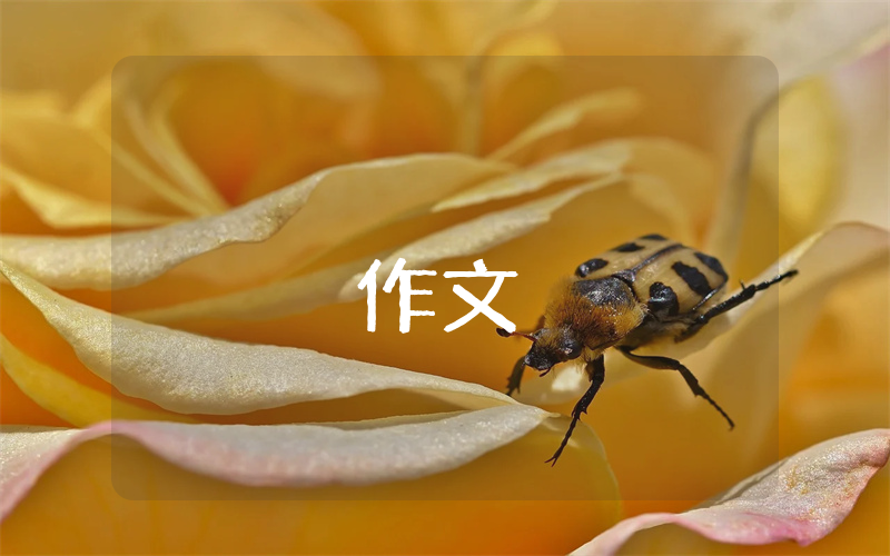 留在心底的人400字作文