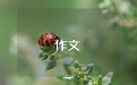 秦始皇兵马俑优秀通用作文（6篇）