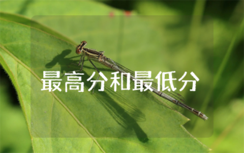 我的最高分,我的最低分作文精选  以我的最高分和最低分为题的作文