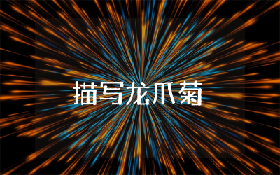 描写龙爪菊的作文300字怎么写  关于龙爪菊植物的作文精选