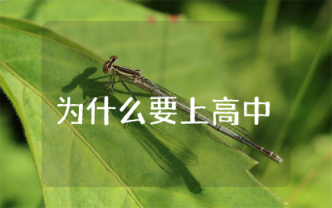 我为什么要上高中演讲稿通用 上高中对我的意义演讲稿精选