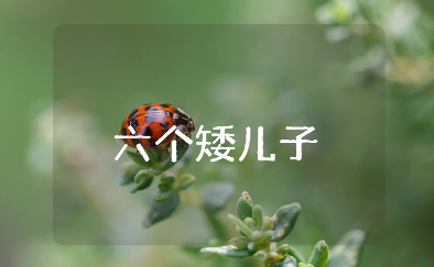 《六个矮儿子》大班教案范文 《六个矮儿子》一等奖教学设计