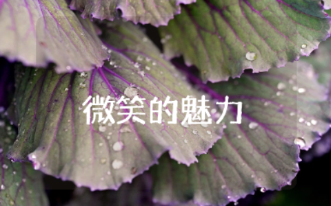 《微笑的魅力》大班教案范文 《微笑的魅力》心理健康教学设计