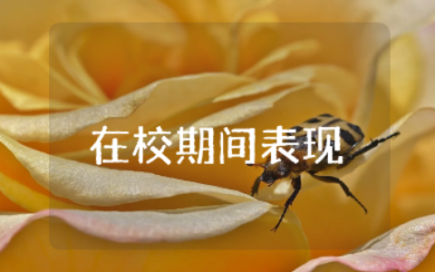 学生在校期间表现精选范文 学生在校表现情况汇报模板