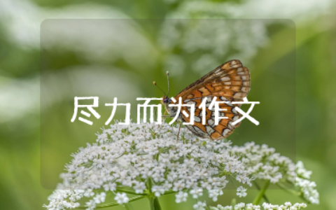 尽力而为满分作文素材