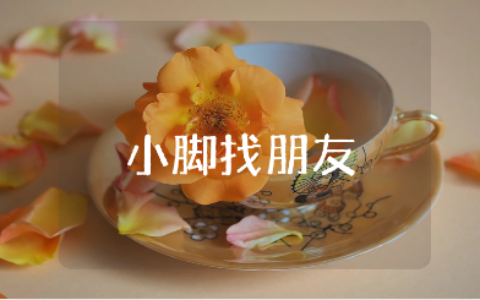 《小脚找朋友》健康教案范文汇总 《小脚找朋友》幼儿园教学设计合集