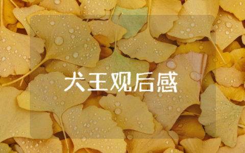 犬王观后感600字作文大全 电影《犬王》观后感范文