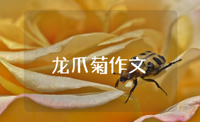 关于龙爪菊的作文大全 写龙爪菊的作文通用范文