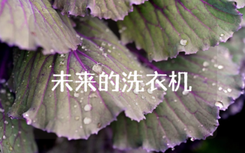 《未来的洗衣机》400字作文合集 《未来的洗衣机》优秀作文模板