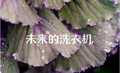 《未来的洗衣机》400字作文合集 《未来的洗衣机》优秀作文模板