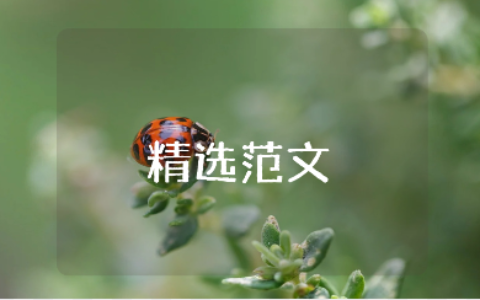 《行走在他们伟大的人格中》作文精选范文大全