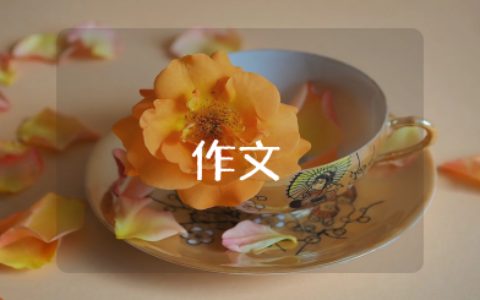 不可无一,不可有二作文范文（精选3篇）