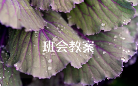 爱国敬业诚信友善主题班会教案及反思设计