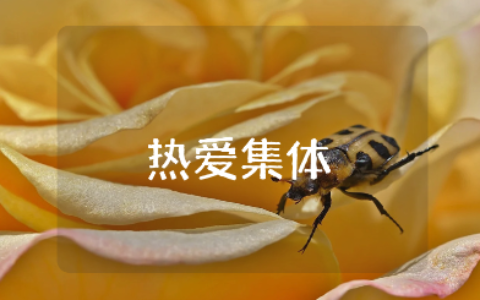 热爱集体主题班会教案汇总 热爱集体班会方案设计