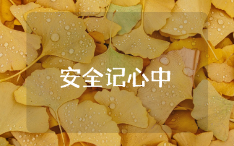 《安全记心中》主题班会教案范文 《安全记心中》班会方案设计汇总