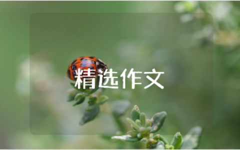 关于鼠曲粿的500字作文汇总 “鼠曲粿”说明文大全