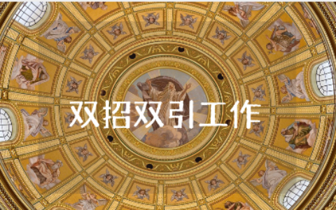 双招双引工作个人发言稿范文 双招双引活动讲话稿模板