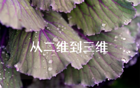 从二维到三维美术教案及教学反思  从二维到三维美术教学案例精选