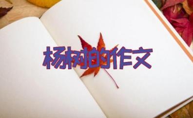 杨树的作文400字 关于杨树的主题作文