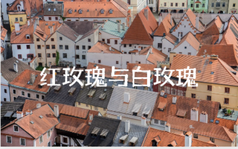 《红玫瑰与白玫瑰》读书笔记精选范文合集（15篇）