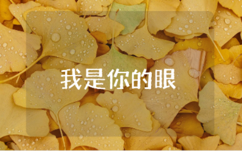 《妈妈，我是你的眼》读书笔记范文 《妈妈，我是你的眼》赏析合集