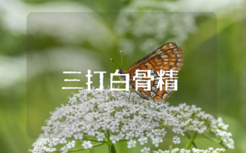 《西游记三打白骨精》读书笔记合集 《三打白骨精》阅读感悟汇总