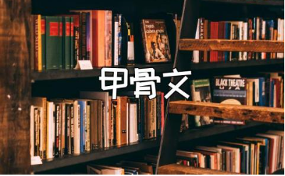 《甲骨文学校大秦兵马俑》读后感及心得体会精选范文