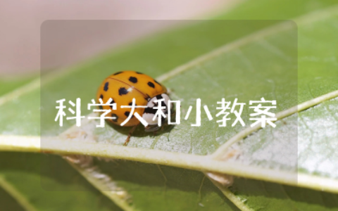 小班科学《大和小》教案及反思 幼儿园《大和小》的公开课教案设计