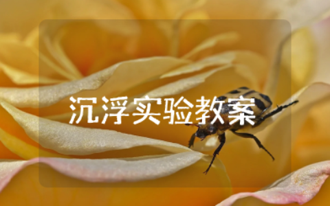 幼儿园沉浮实验教案及反思总结 中班科学活动沉浮设计活动目标