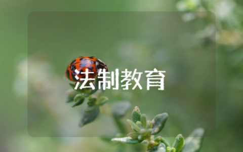 小学生法制教育主题班会教案范文 法制主题班会教案通用模板