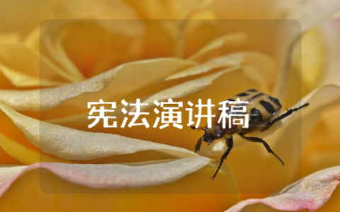 小学生宪法演讲稿 小学生宪法优秀演讲稿范文